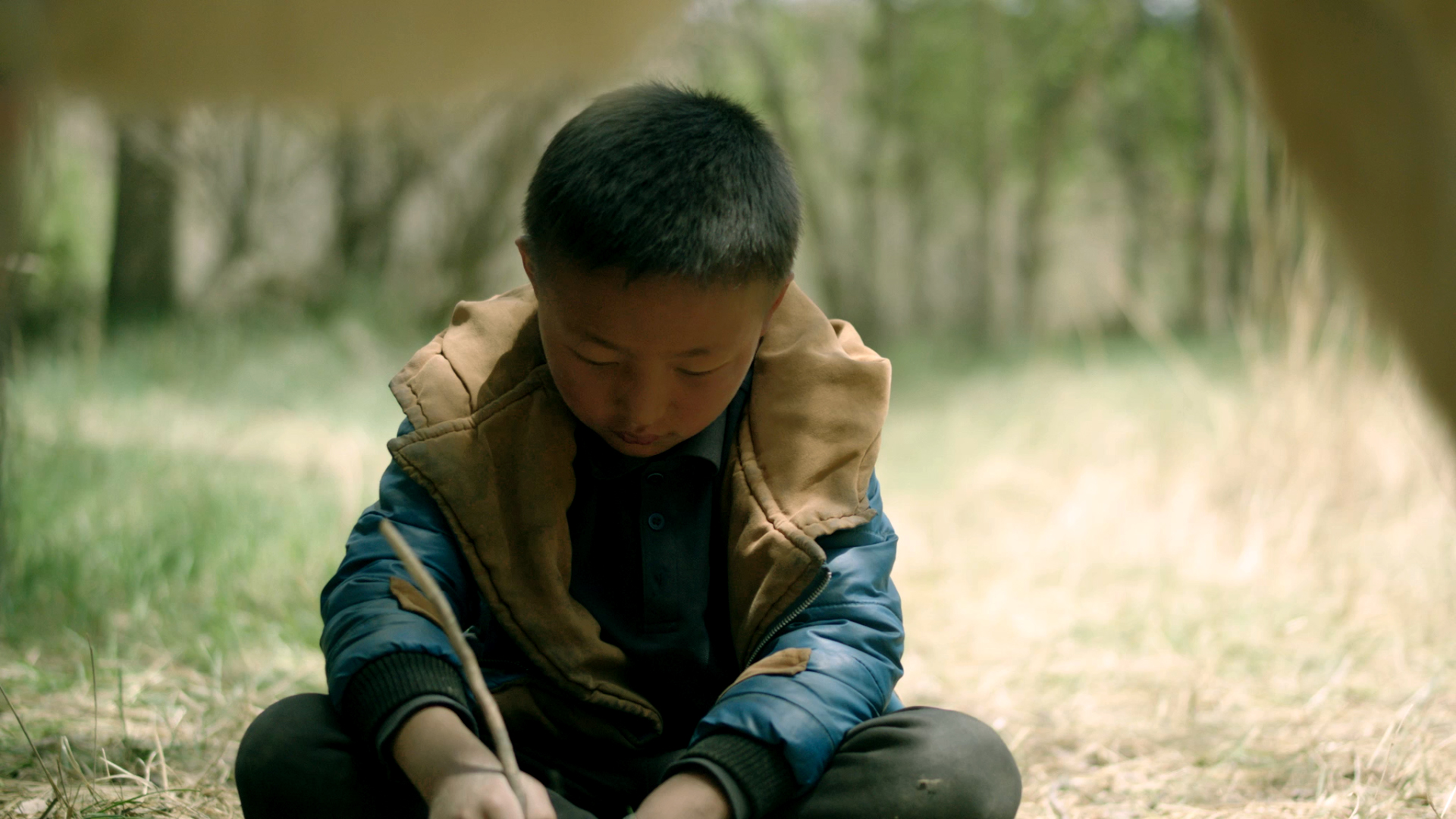 少年与驴
