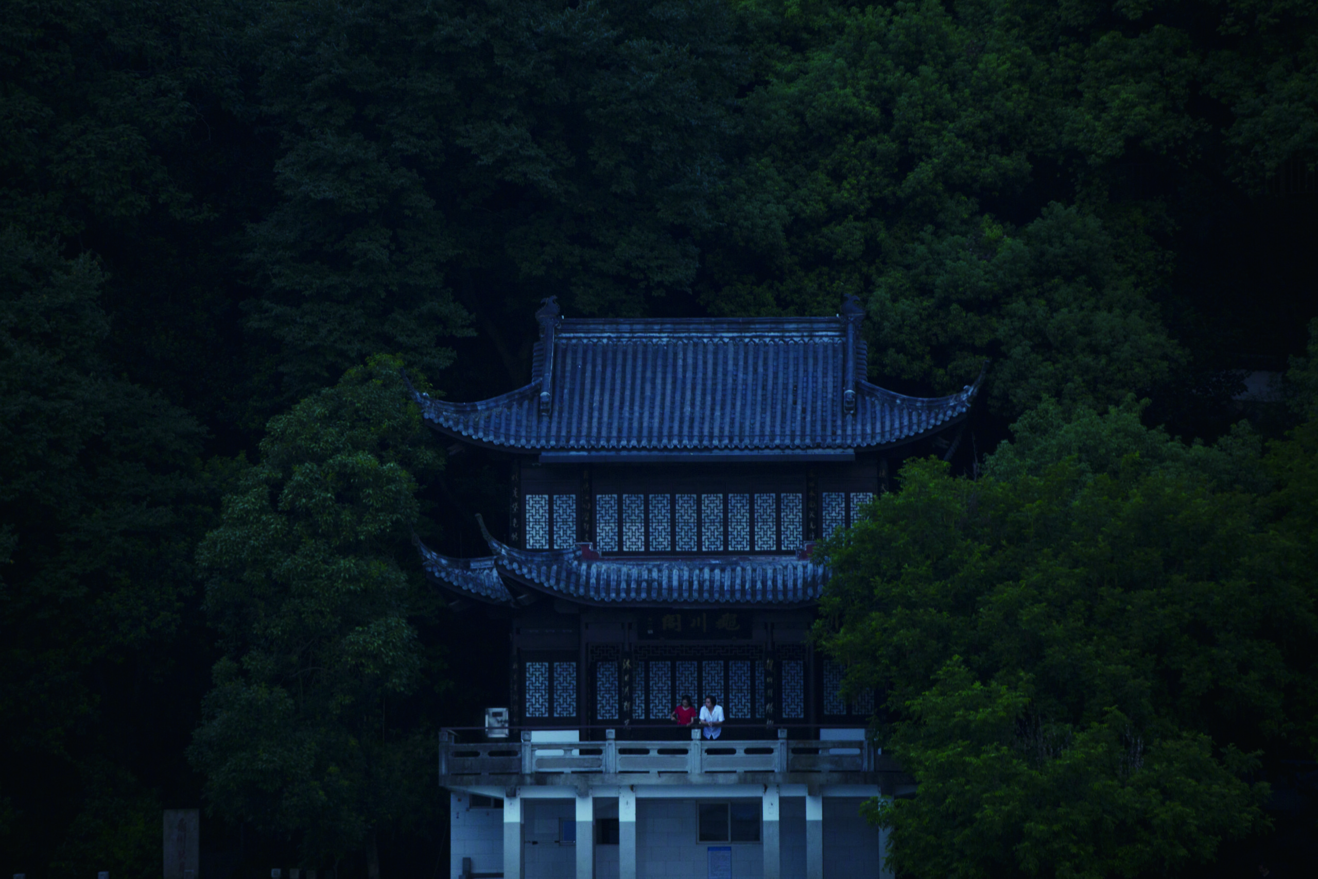 春江水暖