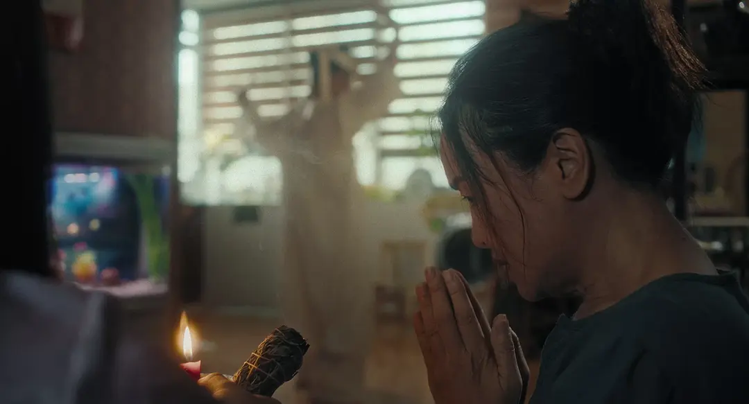 蝴蝶，别哭