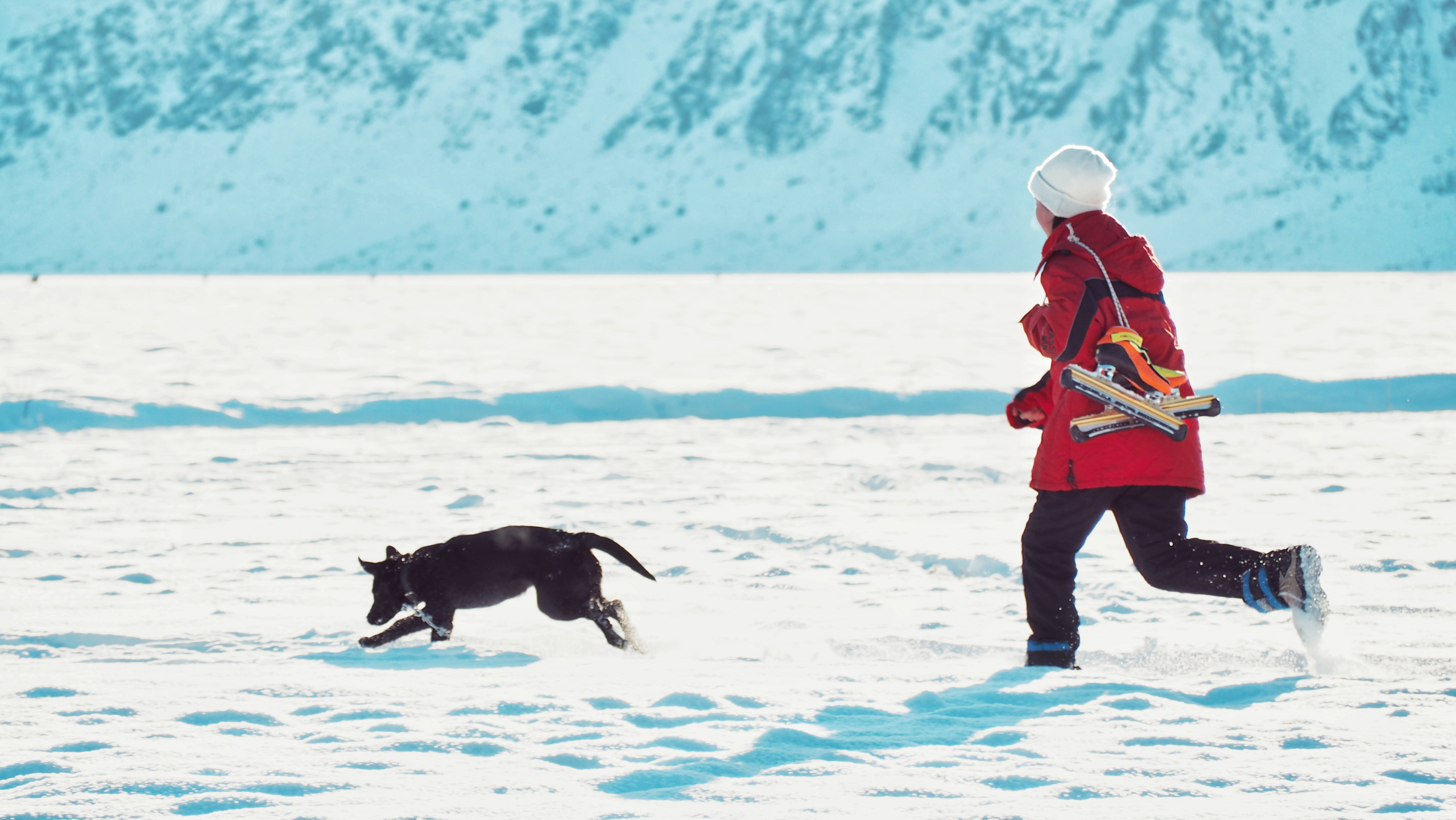 阿利亚的吉尔巴拉