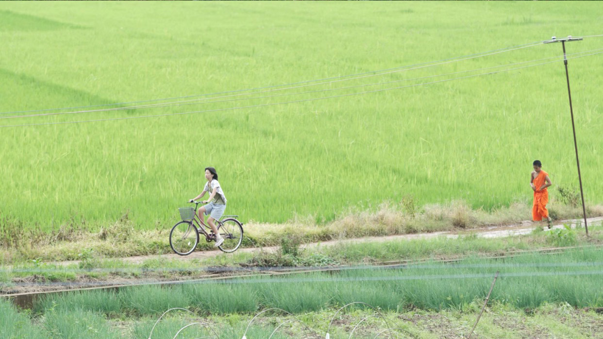 《再见萤火虫》